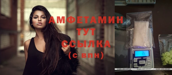 эйфоретик Вяземский