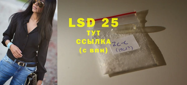 эйфоретик Вяземский