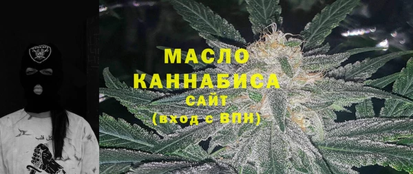 эйфоретик Вяземский