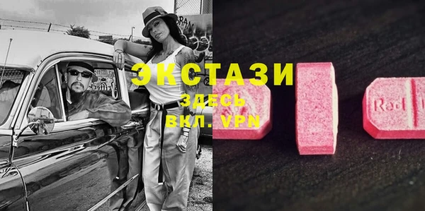 эйфоретик Вяземский