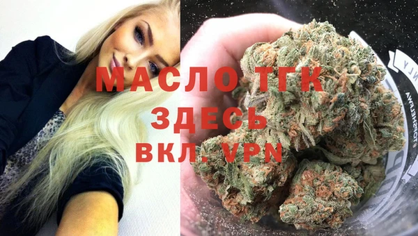 эйфоретик Вяземский