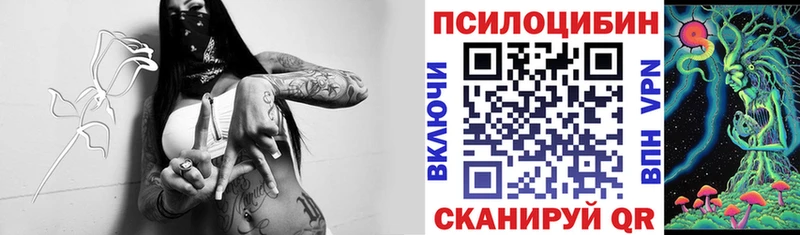 darknet телеграм  Жиздра  Галлюциногенные грибы Psilocybine cubensis  omg как войти 